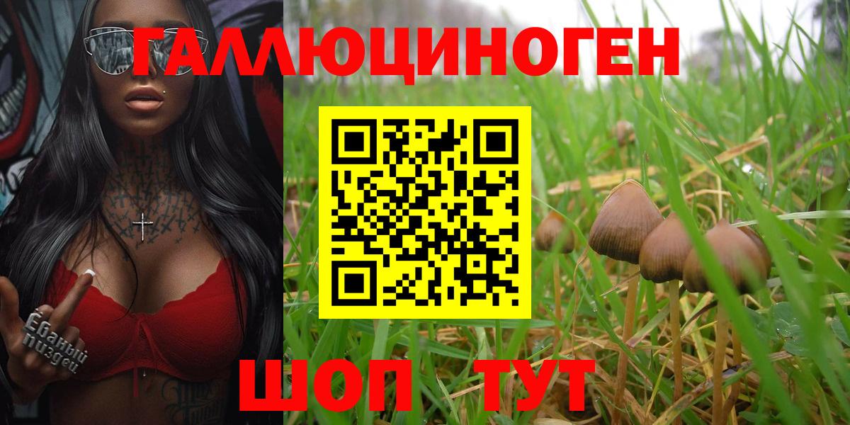 Псилоцибиновые грибы мухоморы  Вход с VPN  Чебоксары  Псилоцибиновые грибы мухоморы 
